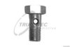 TRUCKTEC AUTOMOTIVE 79.08.001 Hollow Screw